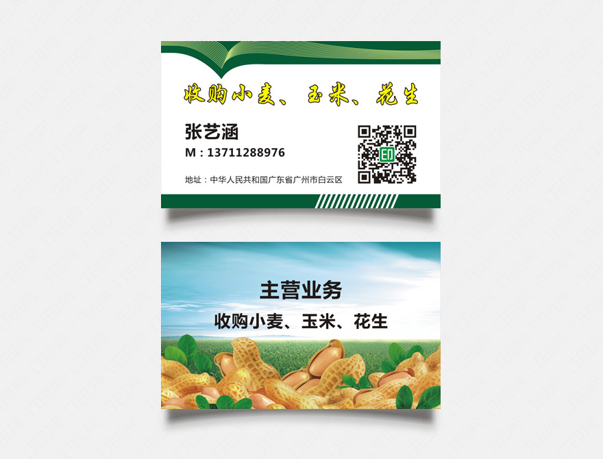 收玉米名片